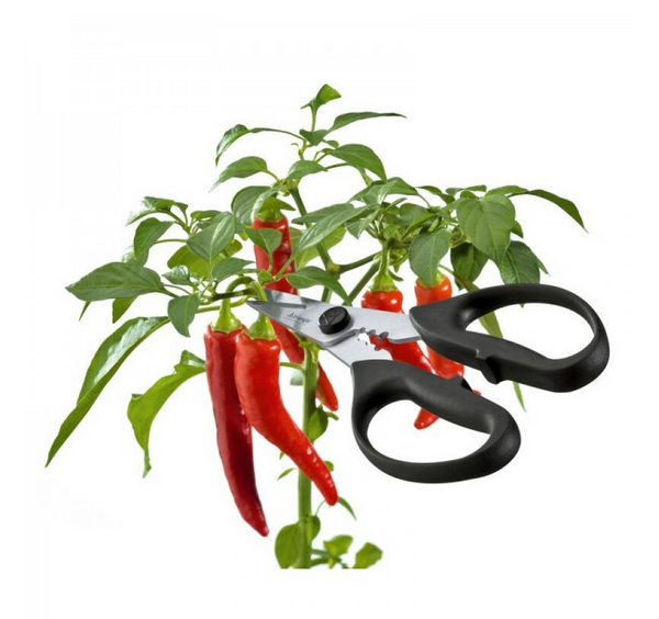 Triangle Ψαλίδι Κοπής Μυρωδικών Triangle Ψαλίδι Κοπής Μυρωδικών